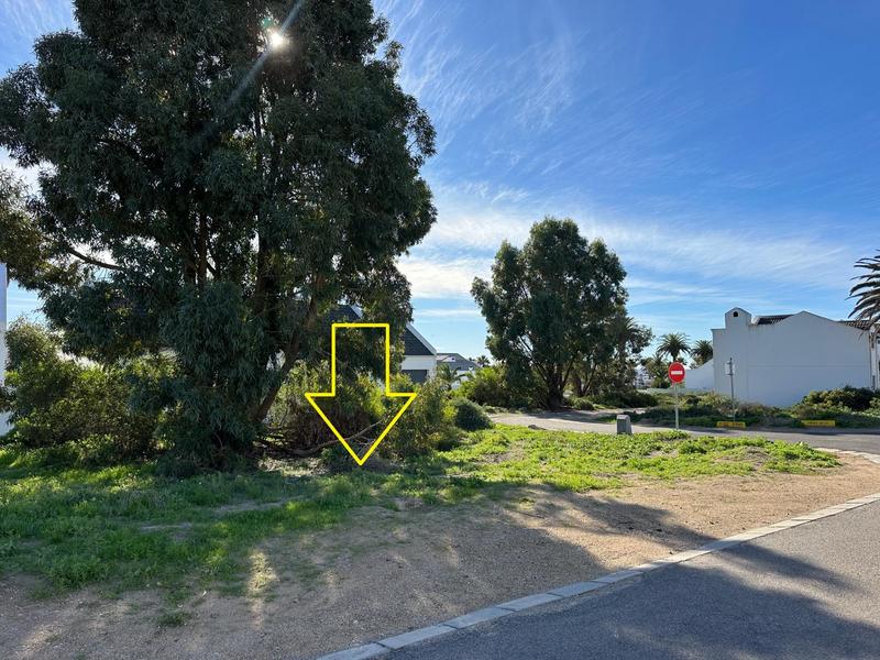 0 Bedroom Property for Sale in Shelley Point Western Cape